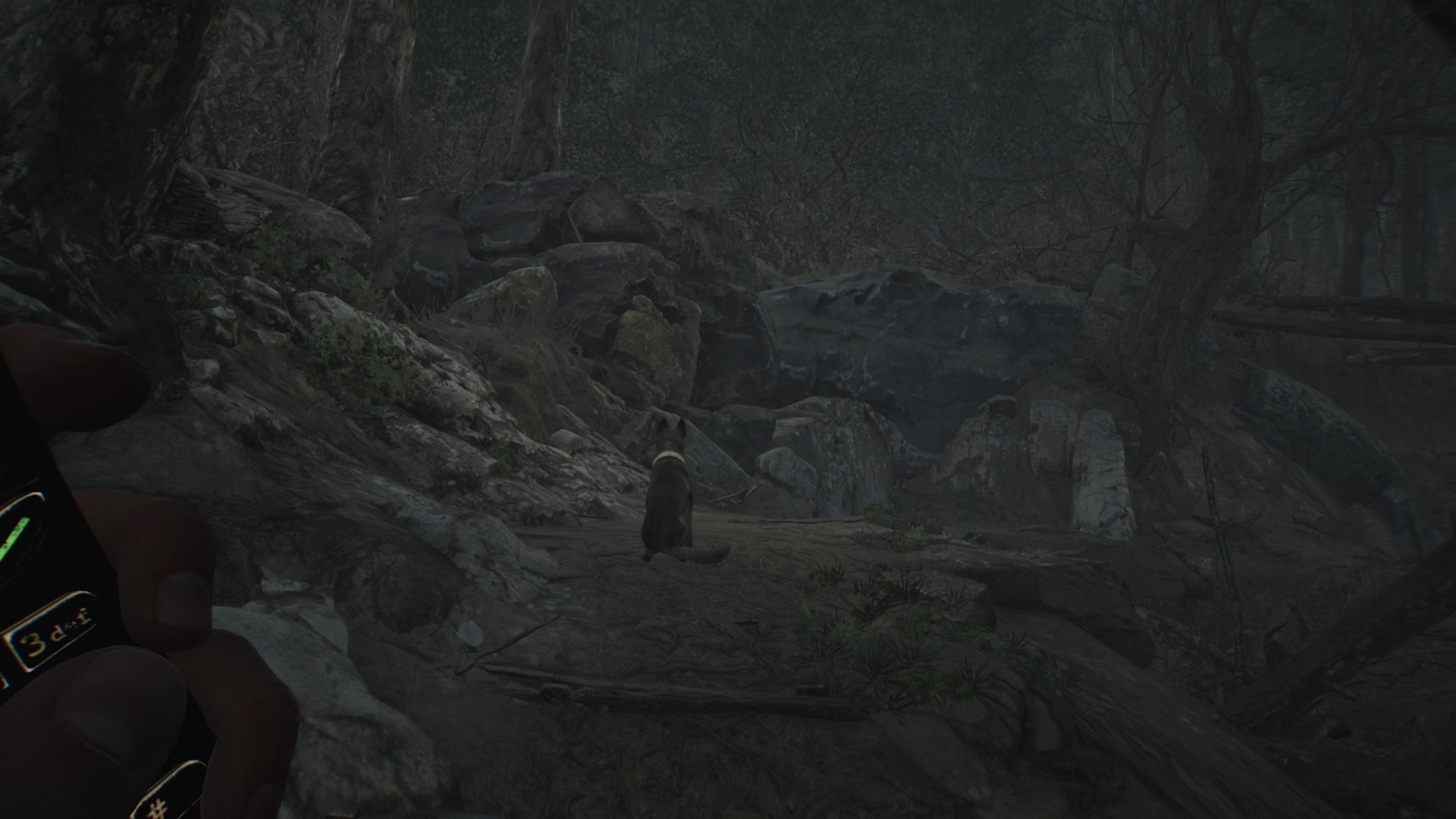 Blair Witch - Imagen 35